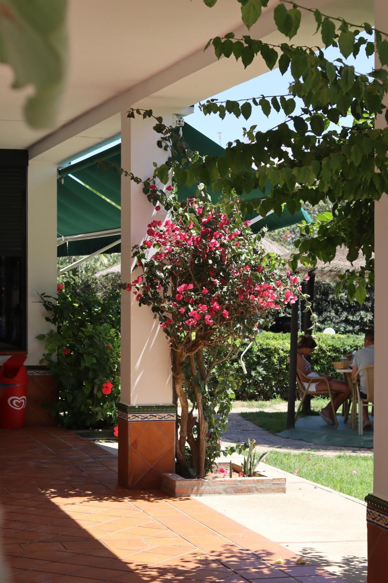 Hostal Restaurante La Ilusion El Palmar  Εξωτερικό φωτογραφία