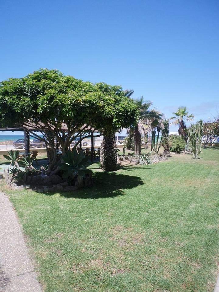 Hostal Restaurante La Ilusion El Palmar  Εξωτερικό φωτογραφία